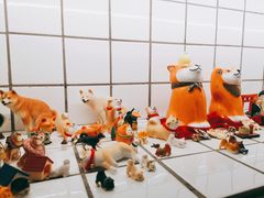 -柴务处·柴犬主题狗咖