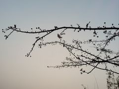 -金海湾滨江公园