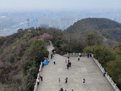 -杭州半山国家森林公园