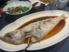 -金狮麟·新豫菜(金码大厦店)