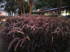 -宝晶宫旅游景区