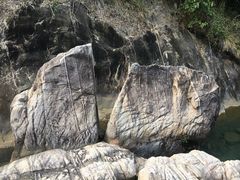 -广州白江湖森林公园