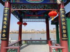 -莲花池公园