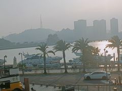 -野狸岛