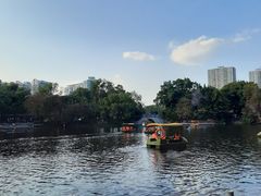 -荔湾湖公园