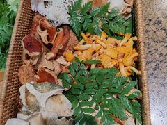 -菌歌野生菌火锅(海埂大坝店)