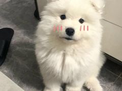 -钱小奴海鲜自助黑金店(杭州滨江龙湖店)