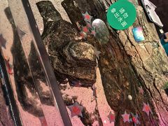 -沈阳海洋探索中心