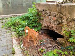 -石井坡(地铁站)