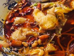 -巴依老爷新疆美食(望京小街店)