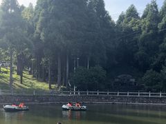 -玉苍山国家森林公园