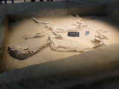 -洛阳周王城天子驾六博物馆