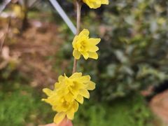 -北门饭店(三香路店)