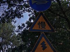 -火炉山森林公园