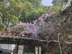 -宅里香.自然餐厅(湘大店)