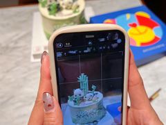 -CAKE BOSS 蛋糕老板(西单君太百货店)
