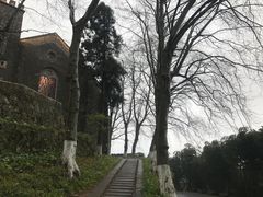 -莫干山风景区