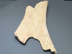 -盘龙城遗址博物院