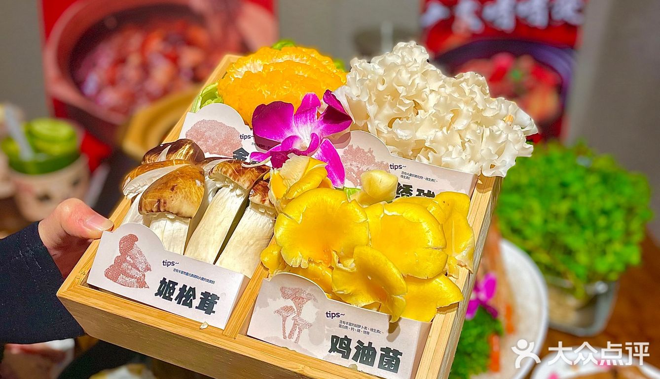 ❣️想吃正宗啫啫煲⁉️ | 凤添囍不会让你失望