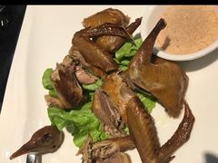 乳鸽-天宁凯利时尚餐厅