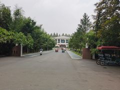 -日照海滨国家森林公园