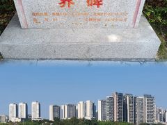 -广东花都湖国家湿地公园