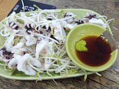 芥末海菊花-贞姨美食·老字号海鲜大排档