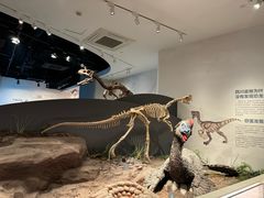 -自贡恐龙博物馆