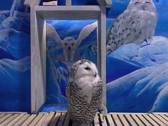 -成都浩海立方海洋公园