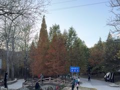 -白水寺森林公园