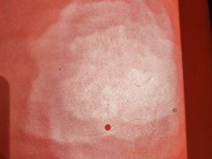 -钱小奴创意自助餐厅·原切谷饲安格斯畅吃(苏州昆山招商花园城店)