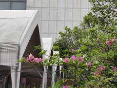 -时光乌托邦空中花园·川味·礼宴(星汇两江店)