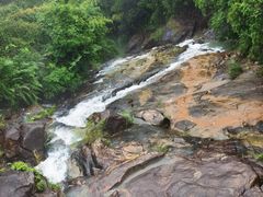 -广州白江湖森林公园