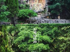 -三水森林公园