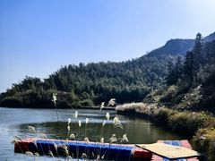 -长沙黑麋峰国家森林公园