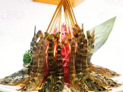 斑节虾-行家海鲜火锅酒家(静安寺店)