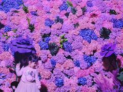 -顺德南宏海立方海洋公园