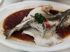 清蒸鲈鱼-红菜坊·烤鸭·川鲁宴(石园店)