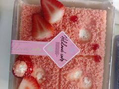 -蒲公英(五里店)
