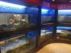水产区-乾隆美食·本帮菜(黄河路店)