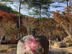 -广州市帽峰山景区