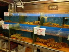-真浪花园海鲜餐馆