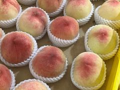 -老袁家蜜桃农场·阳山水蜜桃