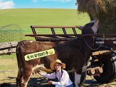 -莫日格勒旅游景区