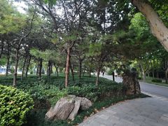 -郑州植物园