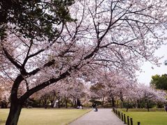 -水前寺成趣园