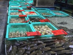 -渔傅·蓝海岸霞浦海鲜(正祥店)