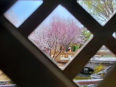 -三里河公园