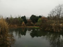 -白鹭湾湿地公园