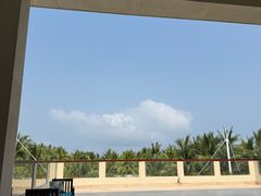 -三亚海棠湾喜来登度假酒店大堂吧